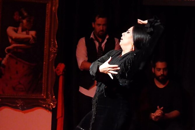 Albaicín and Sacromonte Walking Tour and Flamenco Show - What the guide adds to the walk