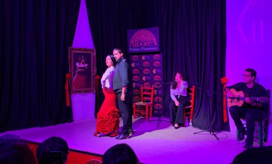 Albaicín & Sacromonte: Tour with Flamenco Show - Who will enjoy this Granada experience?