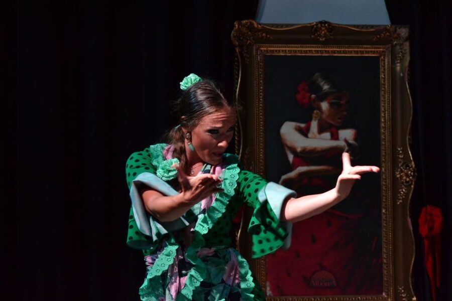 Albaicín & Sacromonte: Tour with Flamenco Show - Views toward the Alhambra and the valley