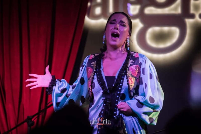 Alegria Flamenco in Malaga, with Transfer, Cocktail and Premium Location - Key points to know before booking