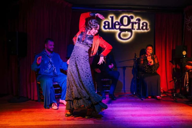 Alegria Flamenco in Malaga, with Transfer, Cocktail and Premium Location - What premium location means here