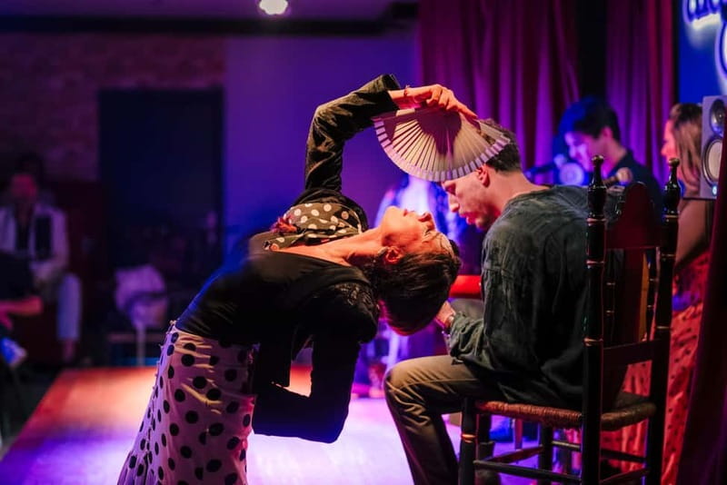 Alegria Flamenco in Malaga, with Transfer, Cocktail and Premium Location - Who should book this experience?