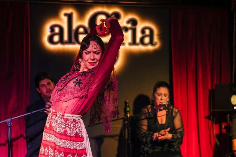 Alegria Flamenco in Malaga, with Transfer, Cocktail and Premium Location - Practical details that shape the evening