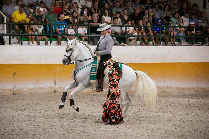 Andalusian Horses and Flamenco show with transportation - Key points to know before you book
