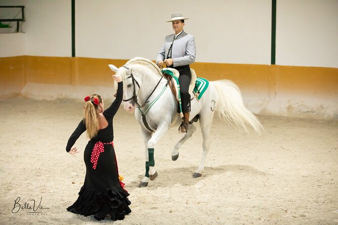 Andalusian Horses and Flamenco show with transportation - What happens before the 90-minute performance