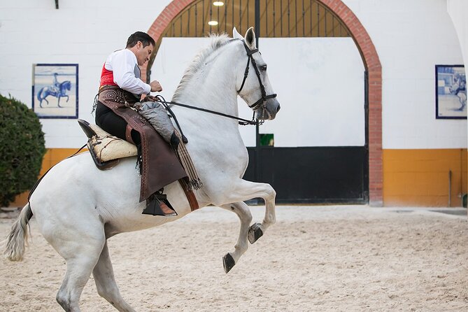 Andalusian Horses and Flamenco show with transportation - Should you book El Ranchito?