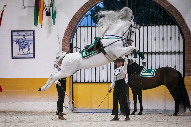 Andalusian Horses and Flamenco show with transportation - Inside the arena: dressage, music, and flamenco