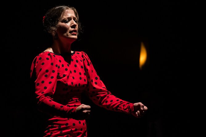 Authentic Flamenco Show at the Barcelona Flamenco Theater - Who should choose this flamenco show?