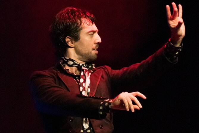 Authentic Flamenco Show at the Teatro Flamenco Granada - Who will get the most from this performance