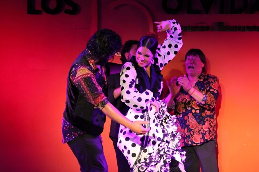 Authentic Flamenco Show & Tapas Tour in Granada - Useful planning details for the evening