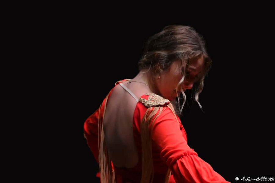 Authentic Flamenco Show Valencia - The Guitar, Singing, and Dance