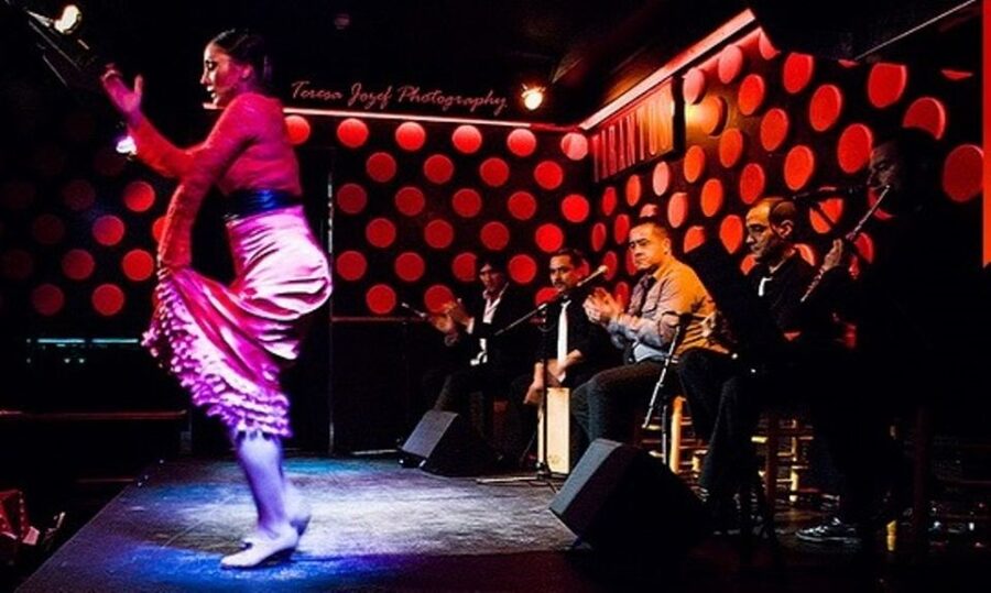Barcelona: 4-Hour Tapas Evening Tour and Flamenco Show - The flamenco finale