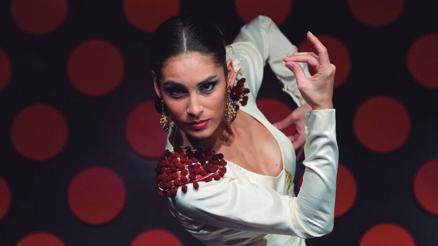 Barcelona: 4-Hour Tapas Evening Tour and Flamenco Show - What the guides add
