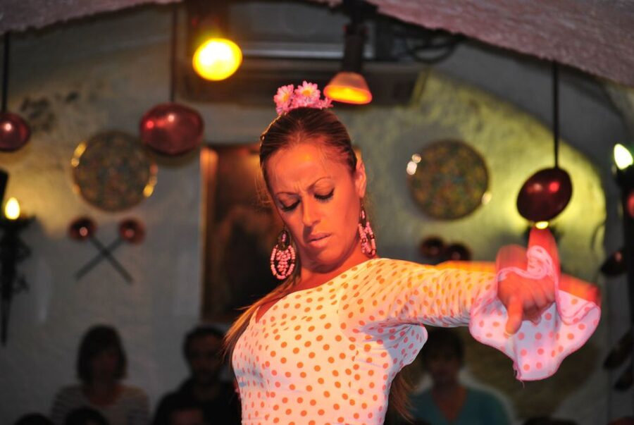 Barcelona: City Tour & Flamenco Show with Wine & Tapas - How the $141 price measures up