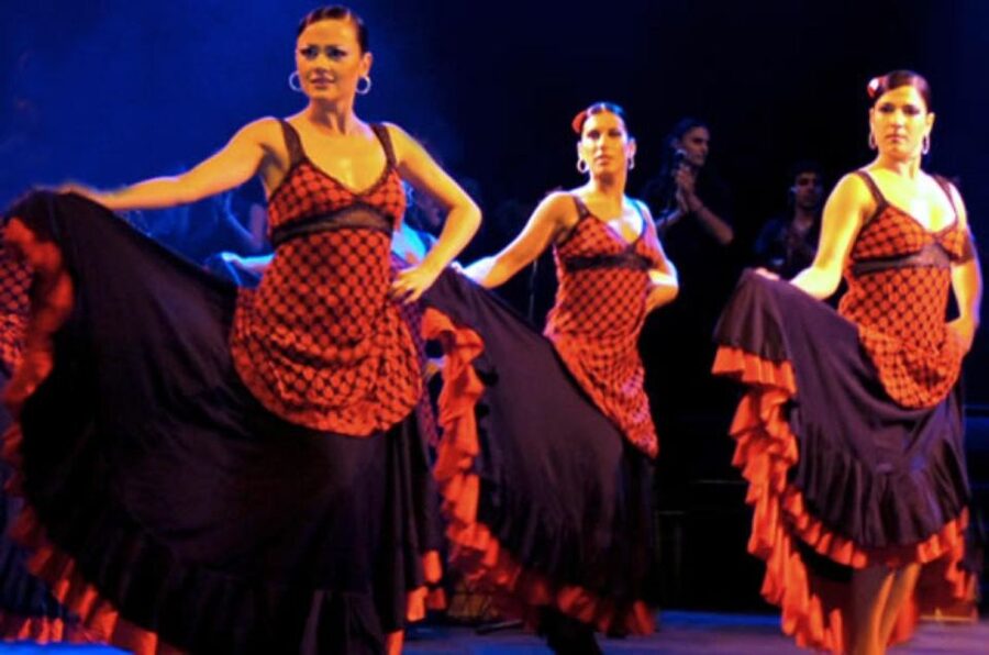 Barcelona: Flamenco at El Patio Andaluz with Optional Dinner - Who will enjoy this flamenco show most?