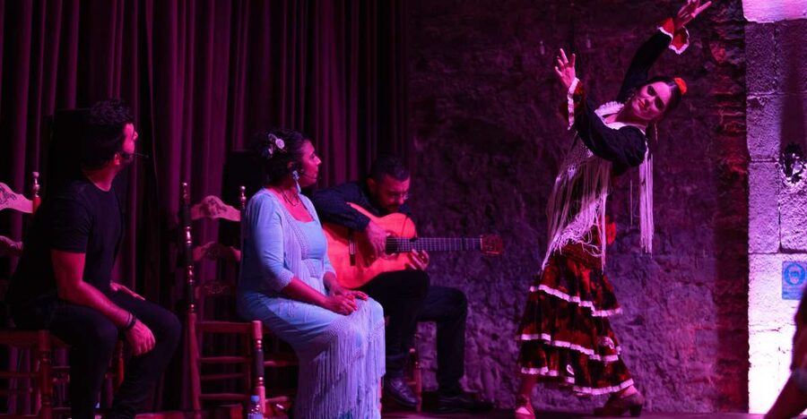Barcelona: Flamenco Show at Palau Dalmases - What happens during the 50 to 55 minute performance