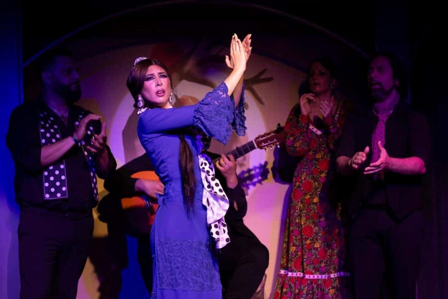 Barcelona: Flamenco Show with Drink Option at La Rambla - Who will enjoy this Barcelona flamenco show