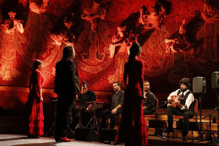 Barcelona: Gran Gala Flamenco Show Entry Ticket - The performance: movement, guitar, voice, and costume