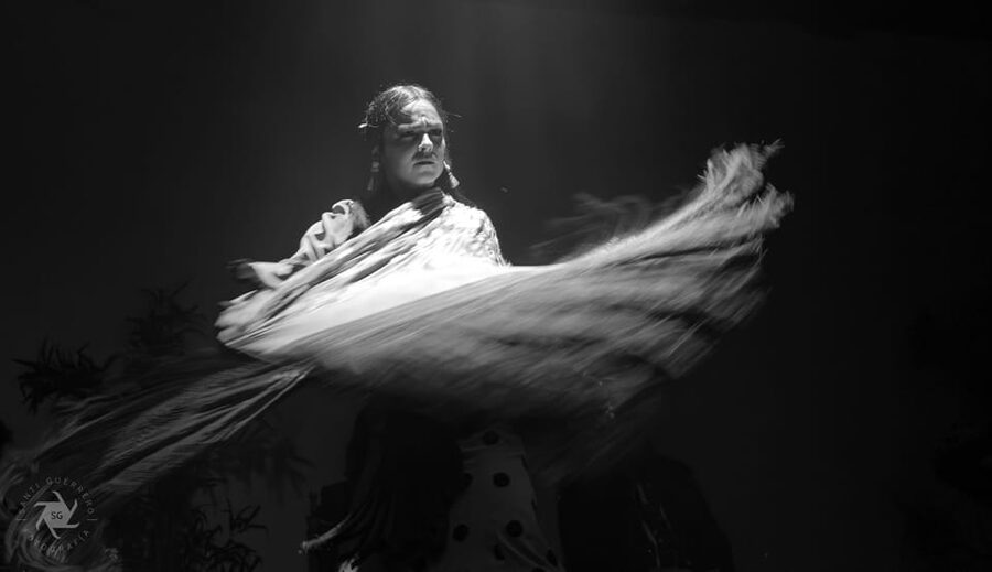 Barcelona: La Laietana Flamenco Show Ticket - Who will enjoy La Laietana most?