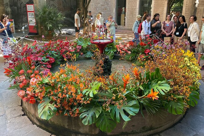 Barcelona Old Town Tour With Optional Flamenco Show - Plaça de Sant Jaume and the Roman street plan