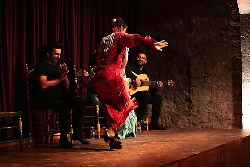 Barcelona: Private Tapas & Wine with Flamenco Show Old Town - Santa Maria del Mar and the El Born route