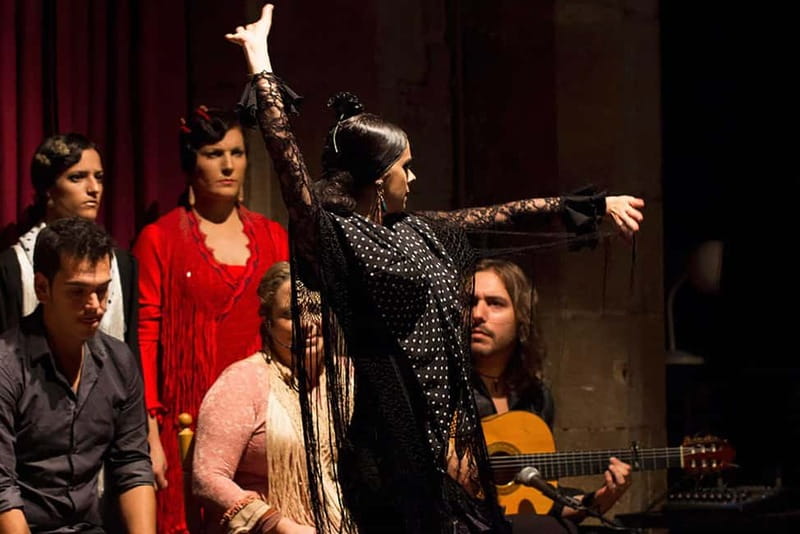 Barcelona: Private Tapas & Wine with Flamenco Show Old Town - Flamenco inside Palau Dalmases
