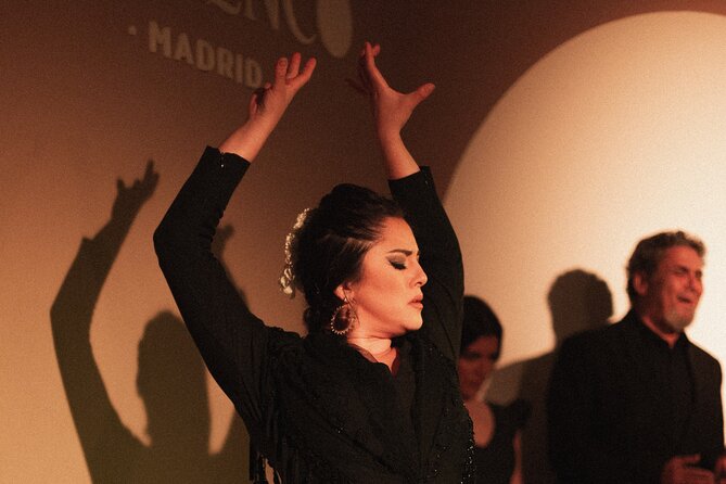 Centro Cultural Flamenco Madrid Admission Ticket - What happens inside the Centro Cultural Flamenco