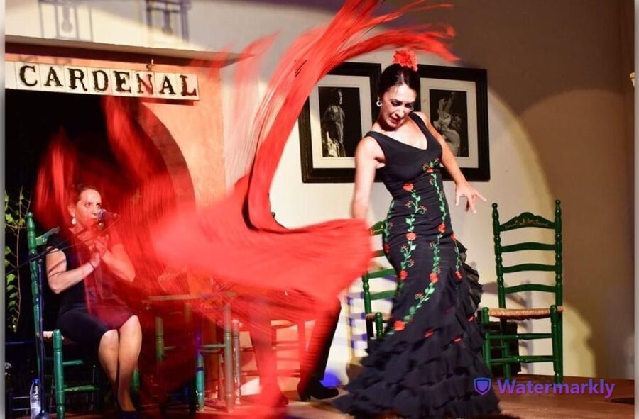 Córdoba: Flamenco Show Ticket with Drinks - Key points to know before booking