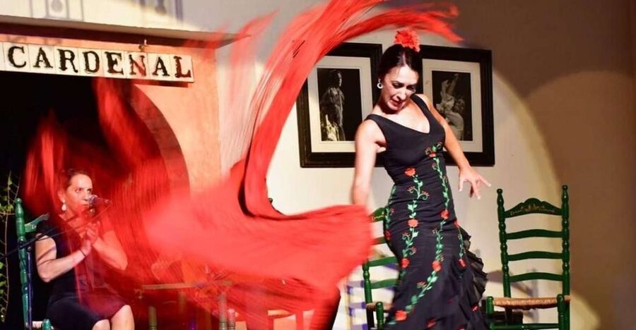 Córdoba: Flamenco Show Ticket with Drinks - What the 80-minute flamenco program includes