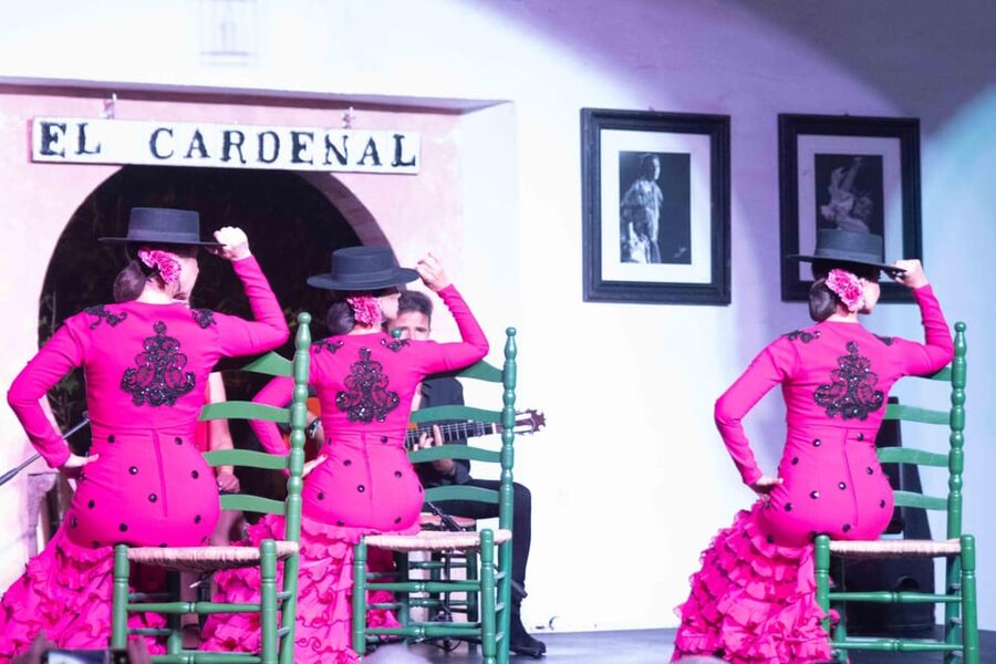 Córdoba: Flamenco Show Ticket with Drinks - Why the dancing feels so physical