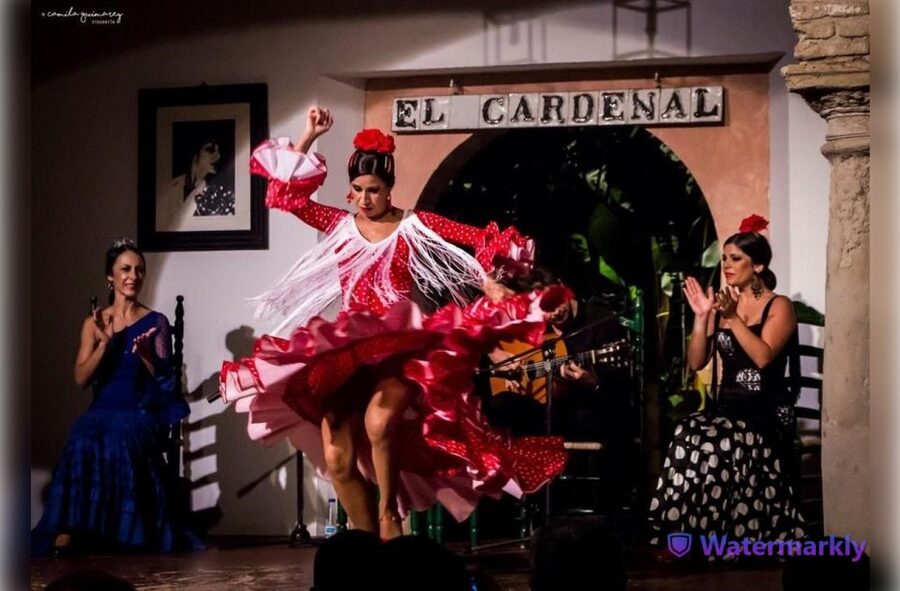 Córdoba: Flamenco Show Ticket with Drinks - Value at $29 per person