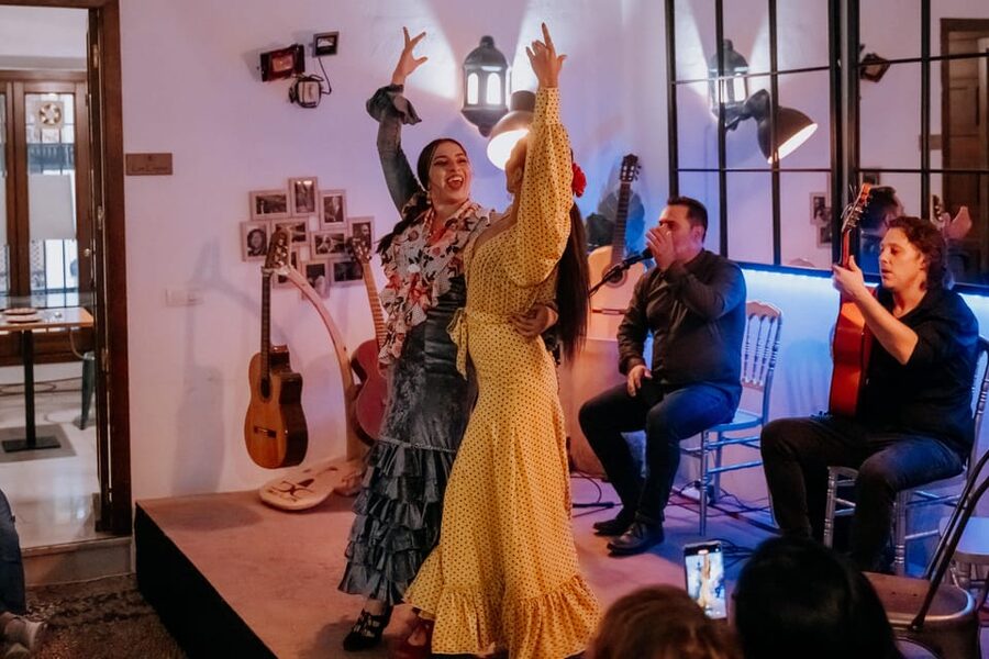 Córdoba: Tablao Flamenco at Doble de Cepa with Optional Meal - What happens during the one-hour show