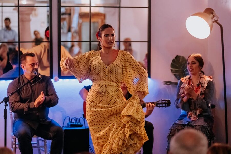 Córdoba: Tablao Flamenco at Doble de Cepa with Optional Meal - The show-only ticket and the drink option