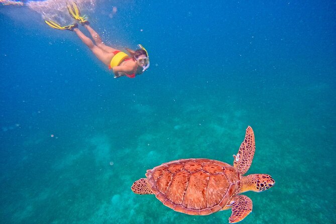 Culebra Swim with Turtles Adventure and Flamenco Beach by Ferry - The return trip is longer than the brochure shorthand suggests