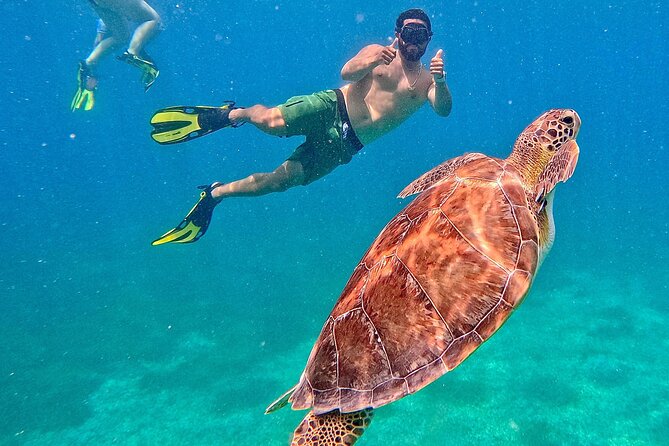 Culebra Swim with Turtles Adventure and Flamenco Beach by Ferry - The ferry from Ceiba sets the pace