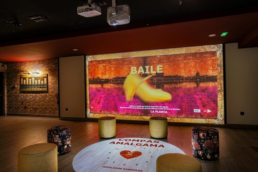 Dive In and Discover: Flamenco in an Interactive Journey - Should you book it?