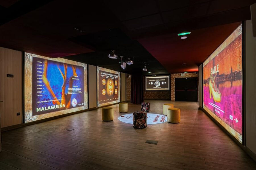 Dive In and Discover: Flamenco in an Interactive Journey - The price and what you receive