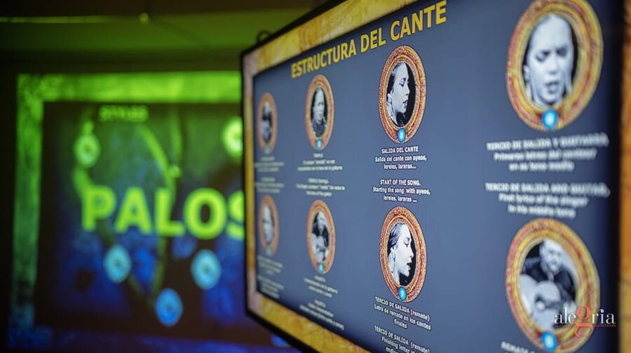 Dive In and Discover: Flamenco in an Interactive Journey - Practical details before you reserve