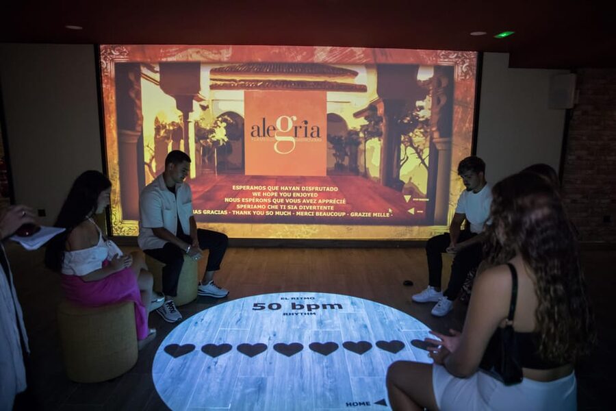 Dive In and Discover: Flamenco in an Interactive Journey - Singing, clapping, guitar, and first dance steps