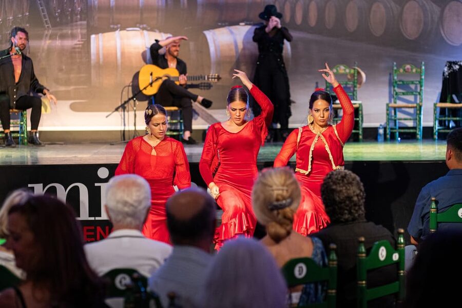 Estepona: Andalusian Flamenco Show Entry Ticket with Drink - Choosing between the drink ticket and dinner