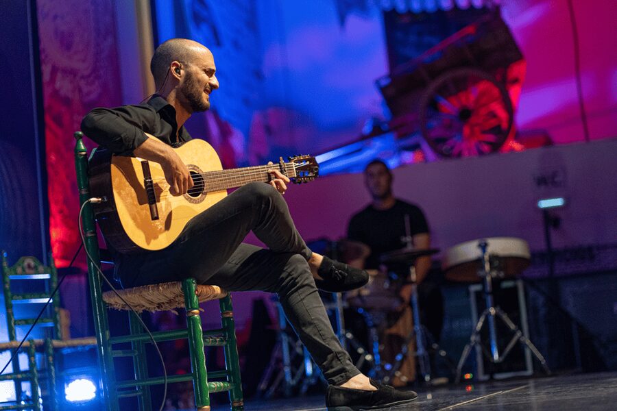 Estepona: Andalusian Flamenco Show Entry Ticket with Drink - Who will enjoy this Friday-night activity?