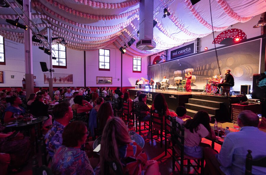 Estepona: Andalusian Flamenco Show Entry Ticket with Drink - Is $53 a fair price?