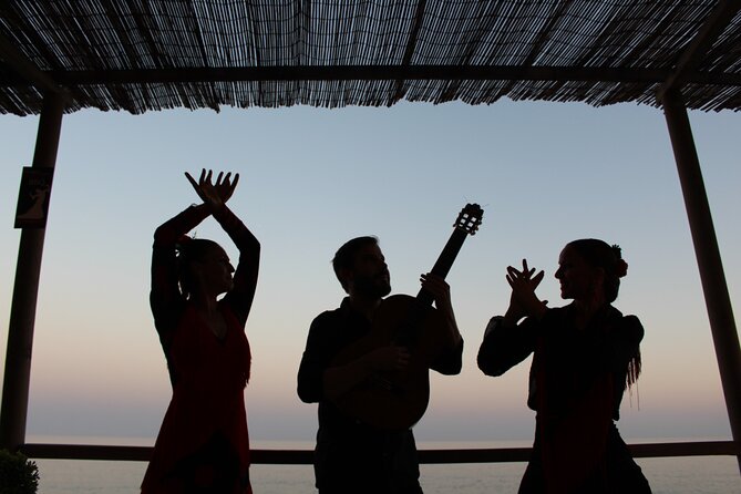 Flamenco and Outdoor Grill Evening (Guadalmina) - What happens from the 8:00 pm meeting time