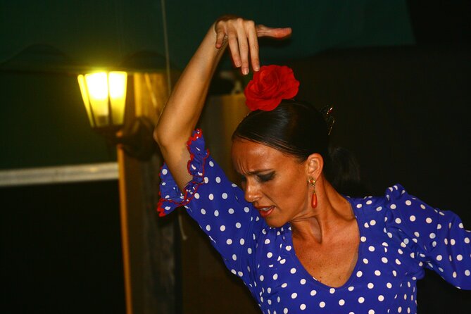 Flamenco and Outdoor Grill Evening (Guadalmina) - A small terrace makes the flamenco feel close