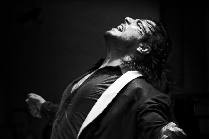 Flamenco Live Show and Dinner in Mexico City - Juncal Tablao Flamenco puts the art first