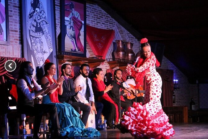 Flamenco night Show and Dinner in Madrid - Who should choose this flamenco night?