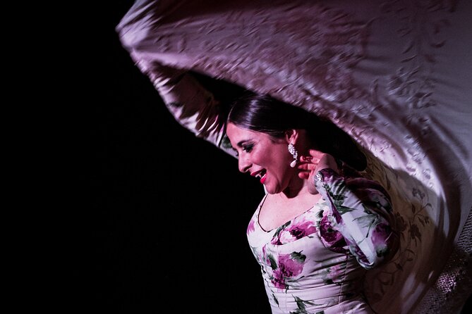 Flamenco Show at Café Ziryab: Madrid - Who will enjoy Café Ziryab most?