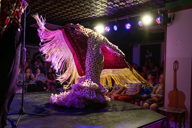 Flamenco Show at Tablao Albayzín Granada - A one-hour introduction to Granada’s flamenco tradition