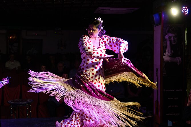 Flamenco Show at Tablao Albayzín Granada - Comfort, service, and what to expect