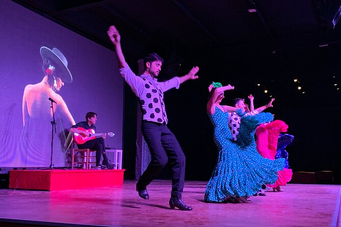 Flamenco Show at the Coliseo theater in San Miguel - What kind of flamenco show is this?